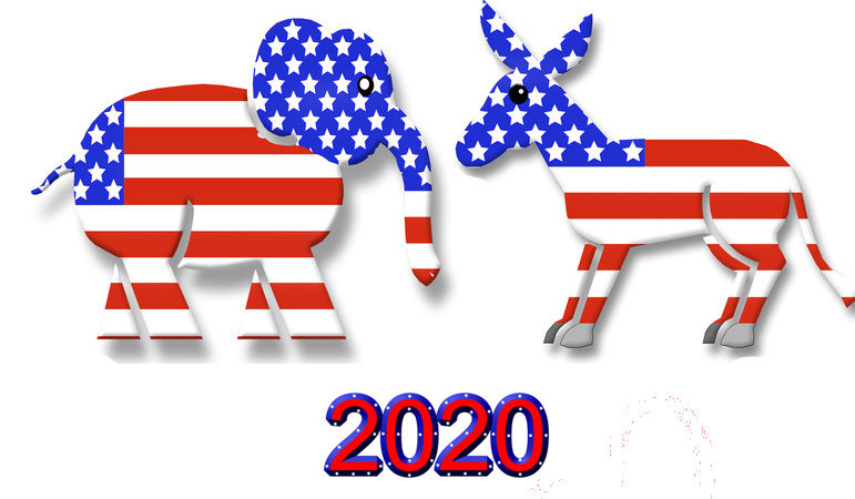 Election 2020 - Vinita Gupta Blog