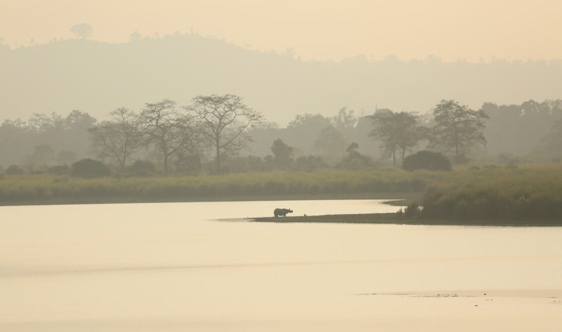 Kaziranga National Park ---By Naren