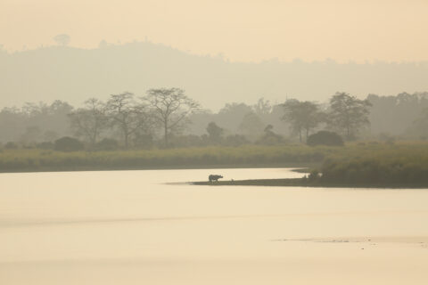 Kaziranga National Park ---By Naren